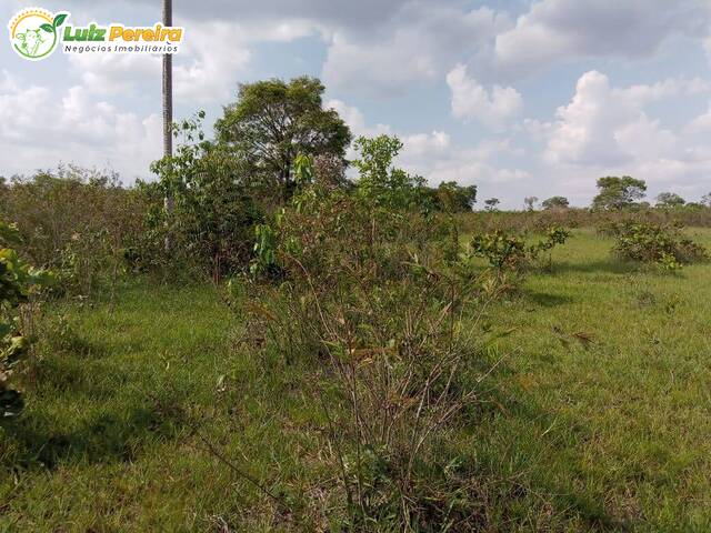 Fazenda para Venda em Terenos - 4