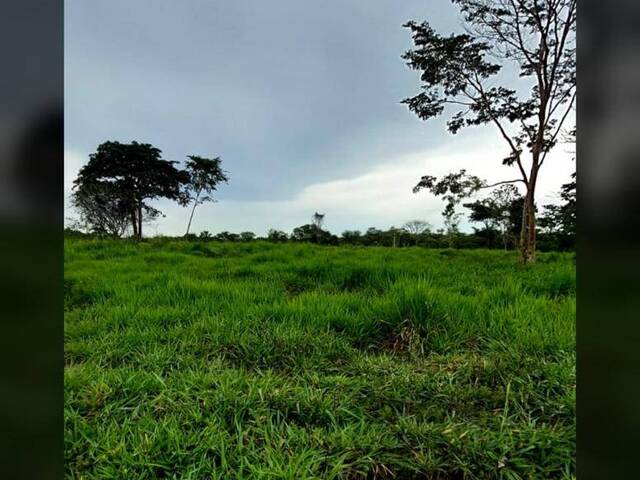 Fazenda para Venda em Santa Maria das Barreiras - 4