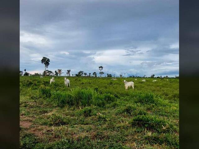 #2788 - Fazenda para Venda em Santa Maria das Barreiras - PA - 1