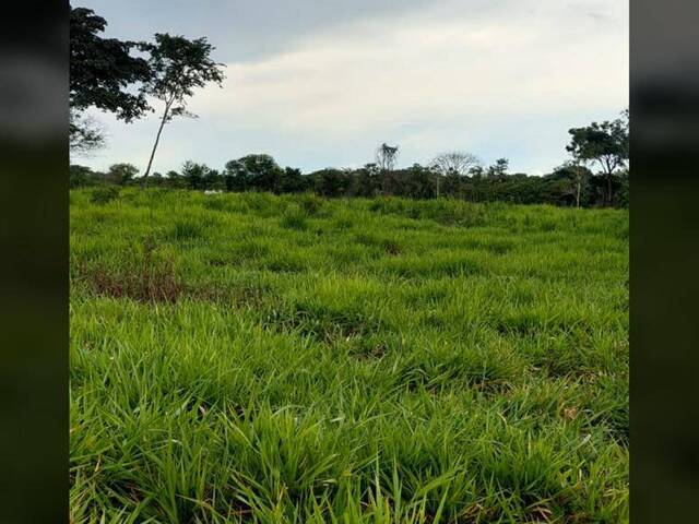Fazenda para Venda em Santa Maria das Barreiras - 5