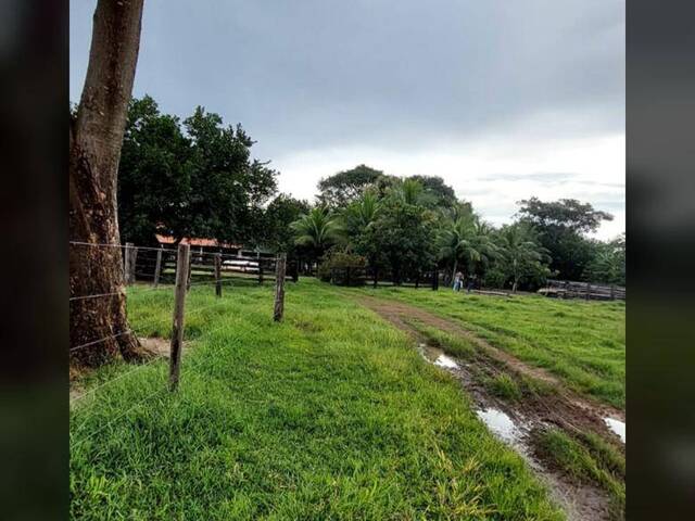 #2788 - Fazenda para Venda em Santa Maria das Barreiras - PA - 2