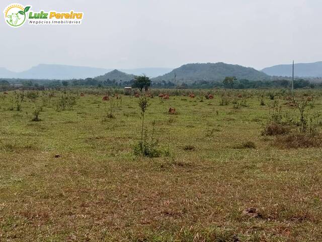 Fazenda para Venda em Aquidauana - 5