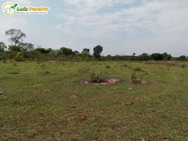 Fazenda para Venda em Aquidauana - 4