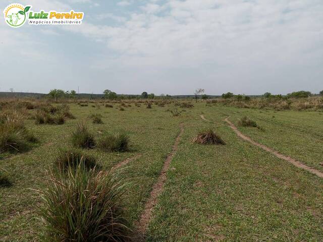 #2789 - Fazenda para Venda em Aquidauana - MS - 3