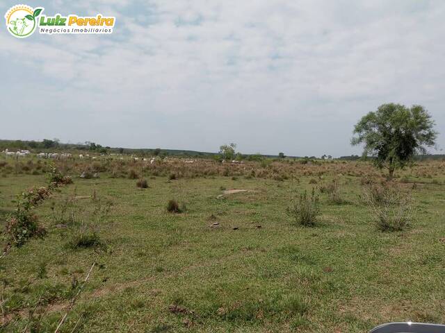 #2789 - Fazenda para Venda em Aquidauana - MS