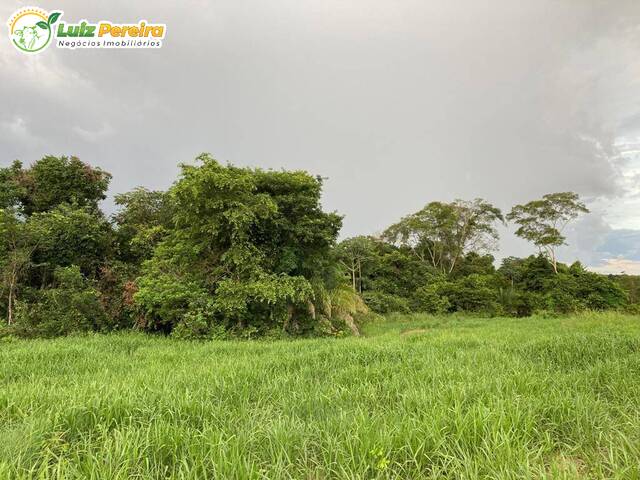 #2790 - Fazenda para Venda em Rio Verde de Mato Grosso - MS - 1