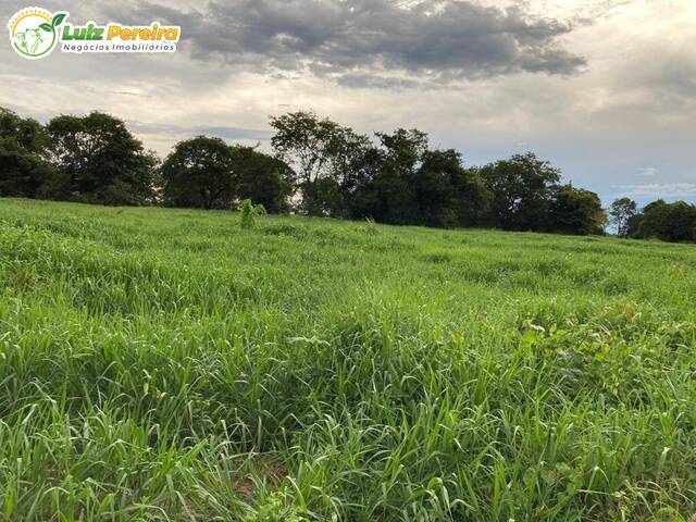 #2790 - Fazenda para Venda em Rio Verde de Mato Grosso - MS - 2