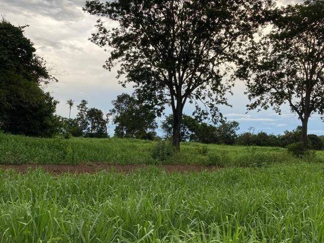 #2790 - Fazenda para Venda em Rio Verde de Mato Grosso - MS - 3