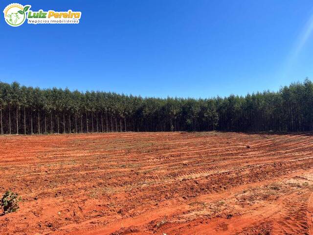 #2792 - Fazenda para Venda em Ribas do Rio Pardo - MS - 3