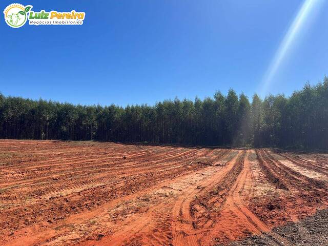 Fazenda para Venda em Ribas do Rio Pardo - 4