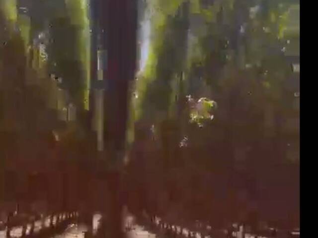 Fazenda para Venda em Ribas do Rio Pardo - 5