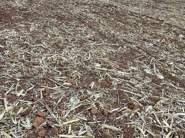 Fazenda para Venda em Sorriso - 4