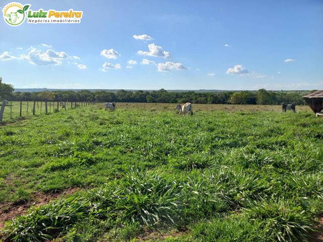 Fazenda para Venda em Coxim - 5
