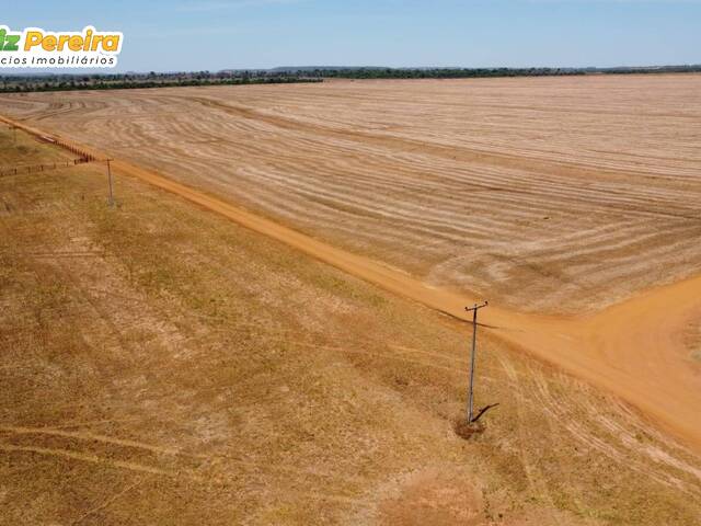 Fazenda para Venda em Estreito - 4