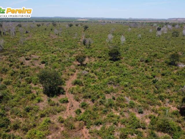 Fazenda para Venda em Estreito - 5