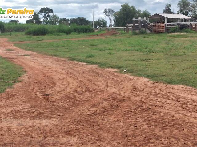 Fazenda para Venda em Coxim - 5