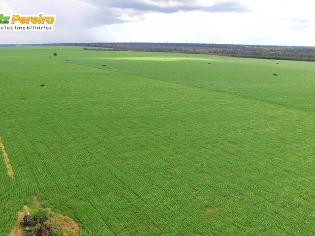 #2800 - Fazenda para Venda em Itaúba - MT - 3