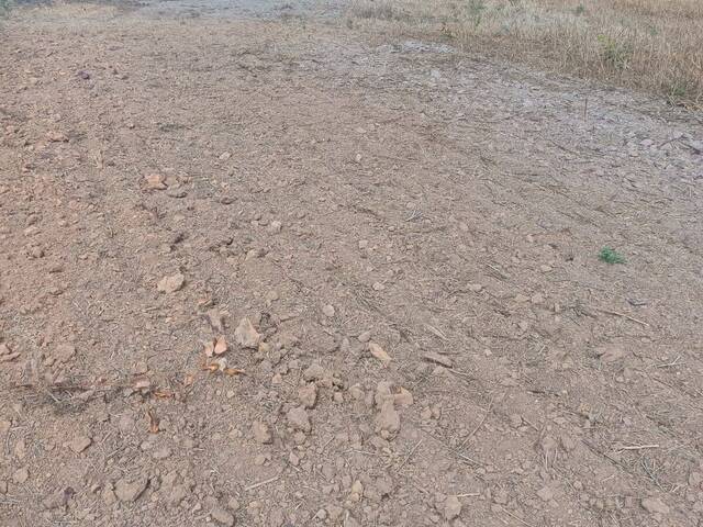 Fazenda para Venda em Urbano Santos - 5