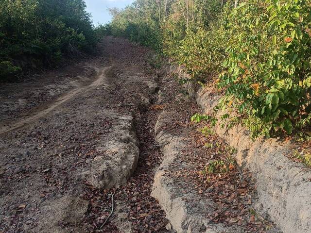 #2791 - Fazenda para Venda em Urbano Santos - MA - 3