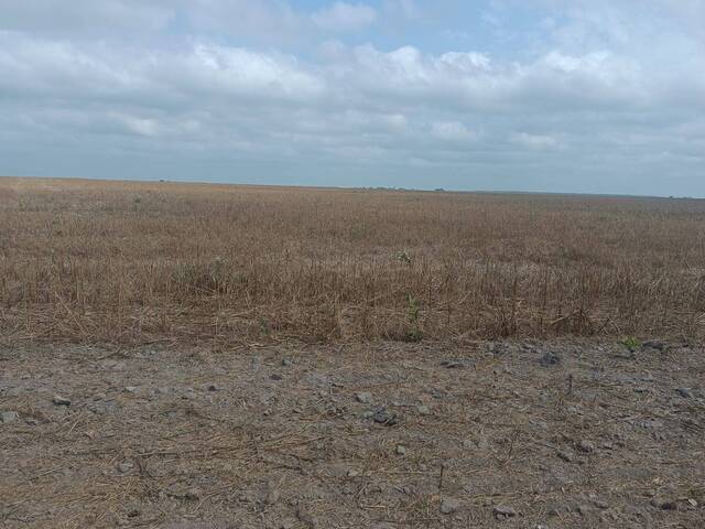 Fazenda para Venda em Urbano Santos - 4