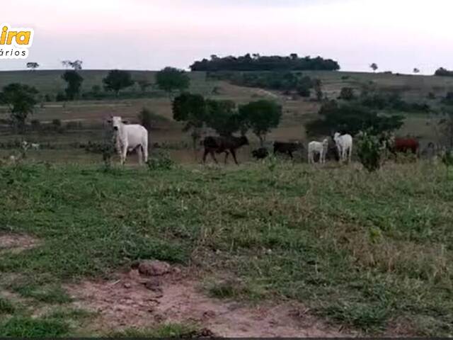 #2801 - Fazenda para Venda em Camapuã - MS - 2