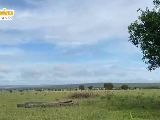 Fazenda para Venda em Camapuã - 4