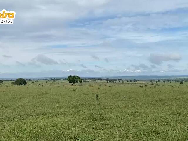 Fazenda para Venda em Camapuã - 5
