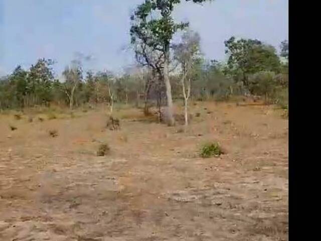 #2802 - Fazenda para Venda em Caxias - MA - 2