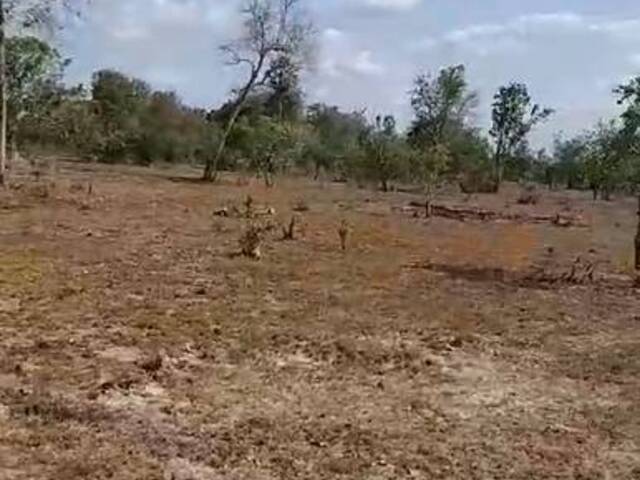 Fazenda para Venda em Caxias - 4