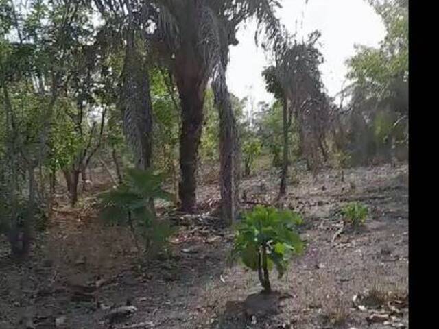 Fazenda para Venda em Caxias - 5