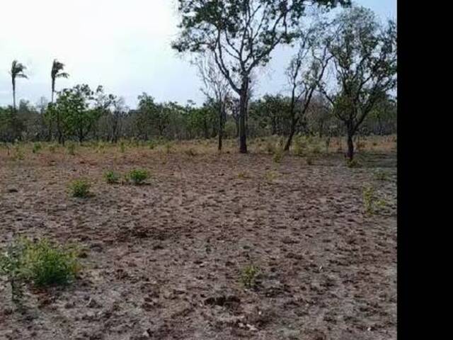 #2802 - Fazenda para Venda em Caxias - MA - 3