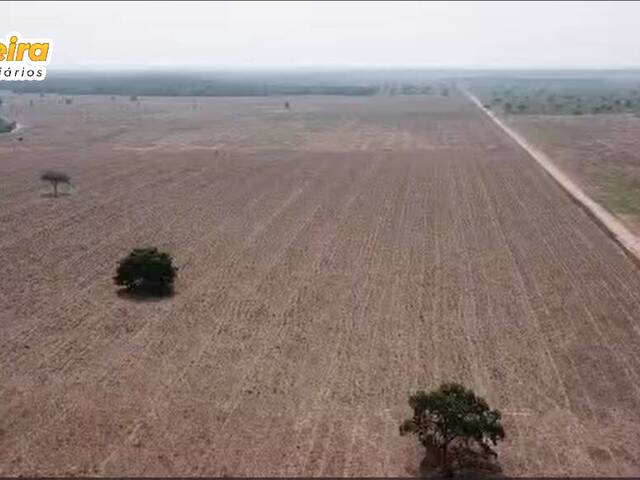 Fazenda para Venda em Santa Maria das Barreiras - 5