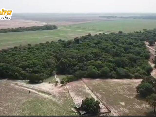 #2803 - Fazenda para Venda em Santa Maria das Barreiras - PA - 2