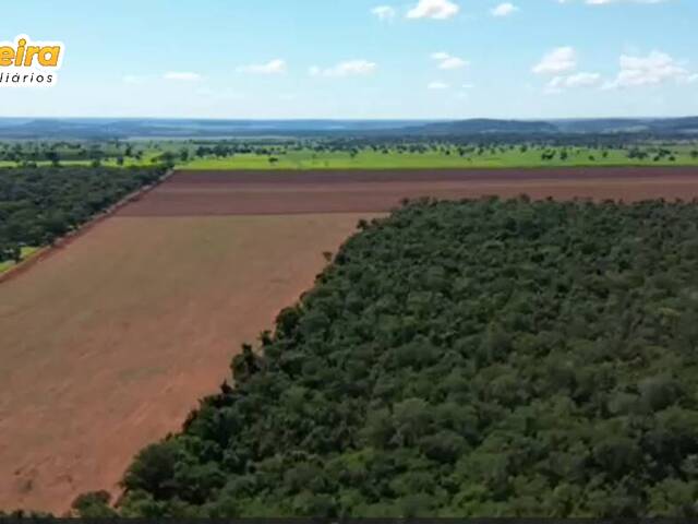 #2804 - Fazenda para Venda em Jardim - MS - 3