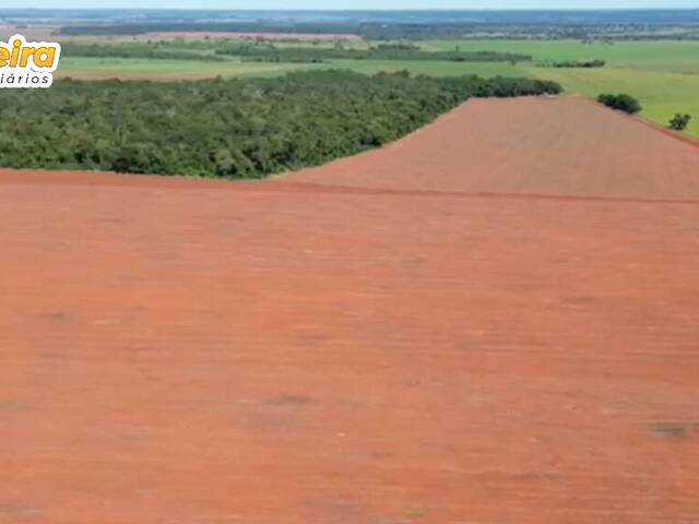 Fazenda para Venda em Jardim - 5