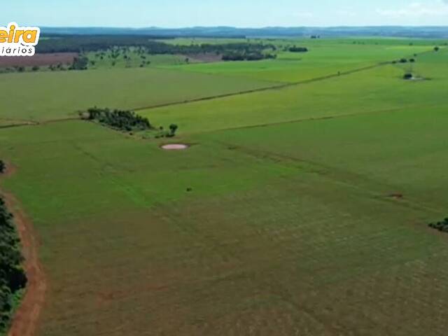 #2804 - Fazenda para Venda em Jardim - MS - 2