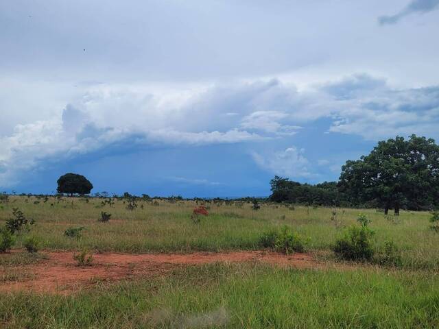 #2805 - Fazenda para Venda em Coxim - MS - 1