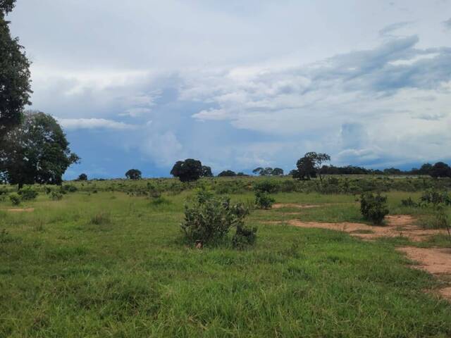 Fazenda para Venda em Coxim - 4