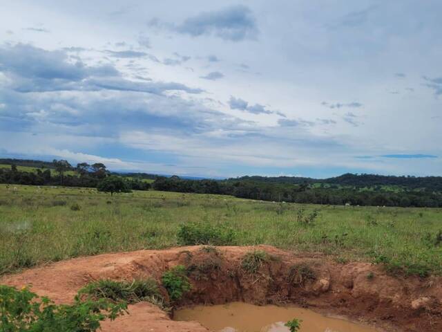 Fazenda para Venda em Coxim - 5