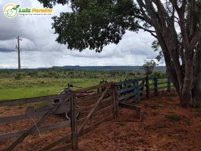 Fazenda para Venda em Alto Araguaia - 4