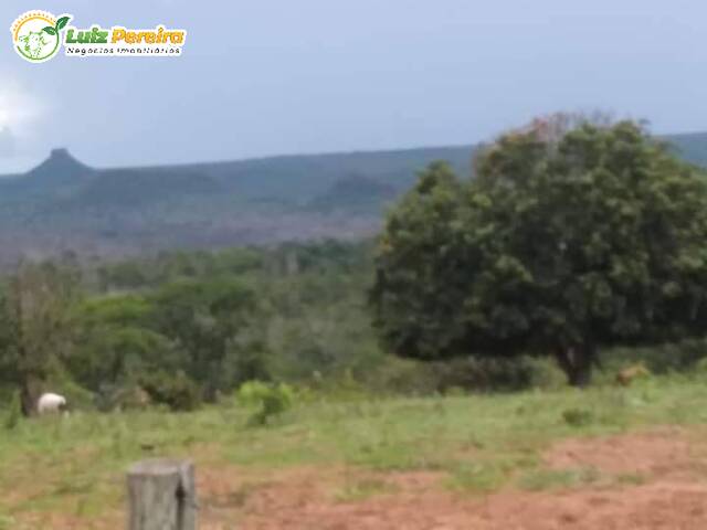 Venda em ZONA RURAL - Alto Araguaia