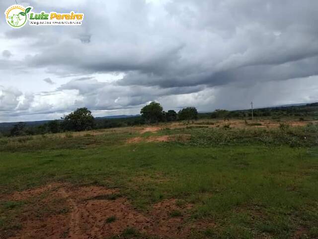 #2806 - Fazenda para Venda em Alto Araguaia - MT - 3