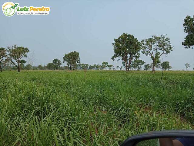Fazenda para Venda em Alto Araguaia - 5