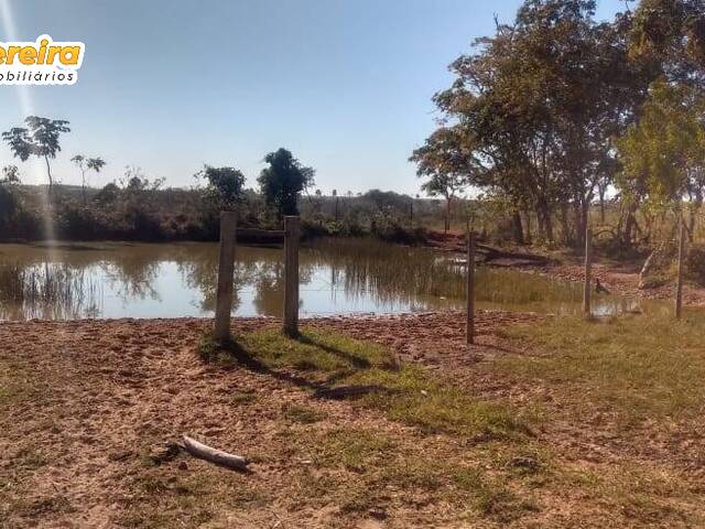 Fazenda para Venda em Aquidauana - 5