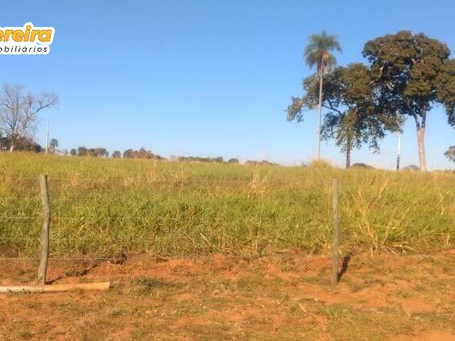 Fazenda para Venda em Aquidauana - 4
