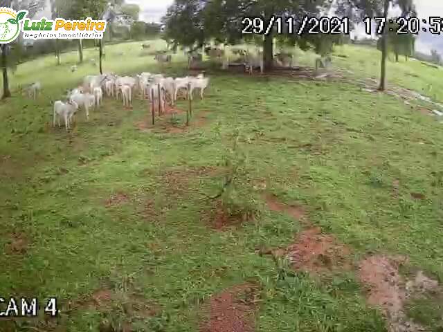 #2807 - Fazenda para Venda em Aquidauana - MS - 1