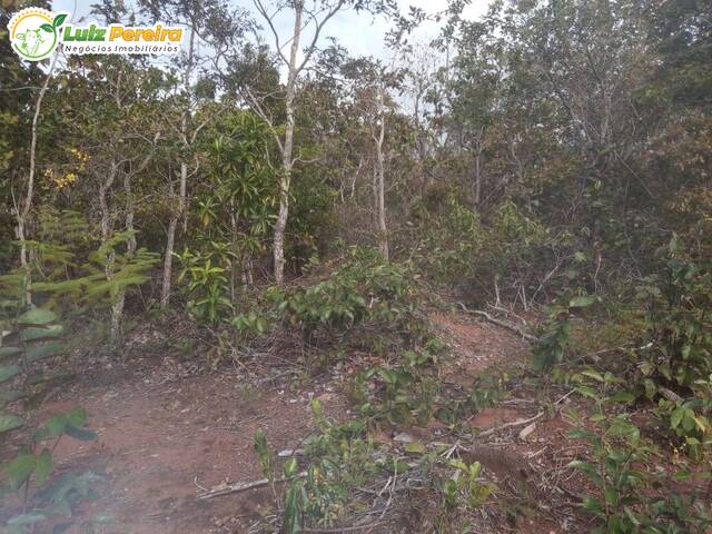 Fazenda para Venda em Rio Negro - 4