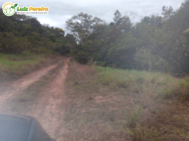 Fazenda para Venda em Rio Negro - 5