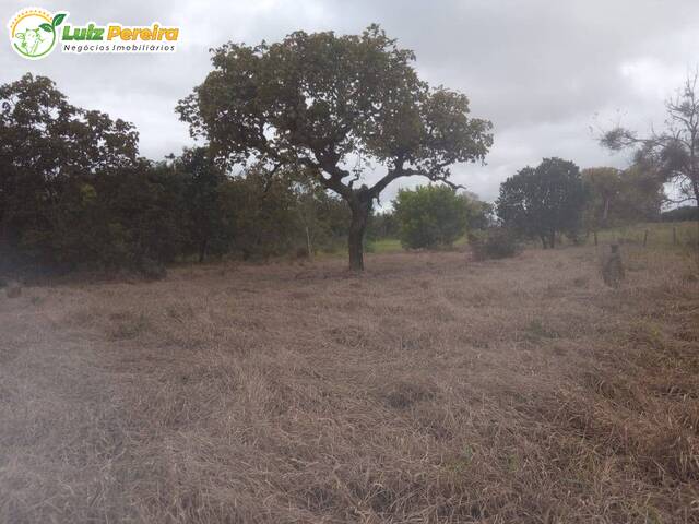 #2810 - Fazenda para Venda em Rio Negro - MS - 2