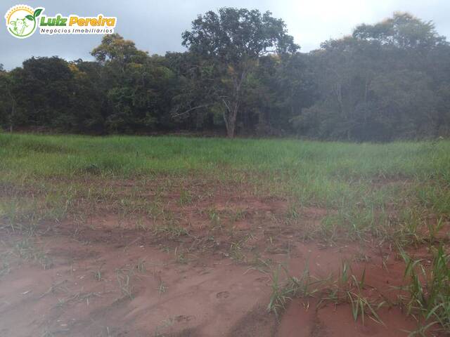 #2810 - Fazenda para Venda em Rio Negro - MS - 3